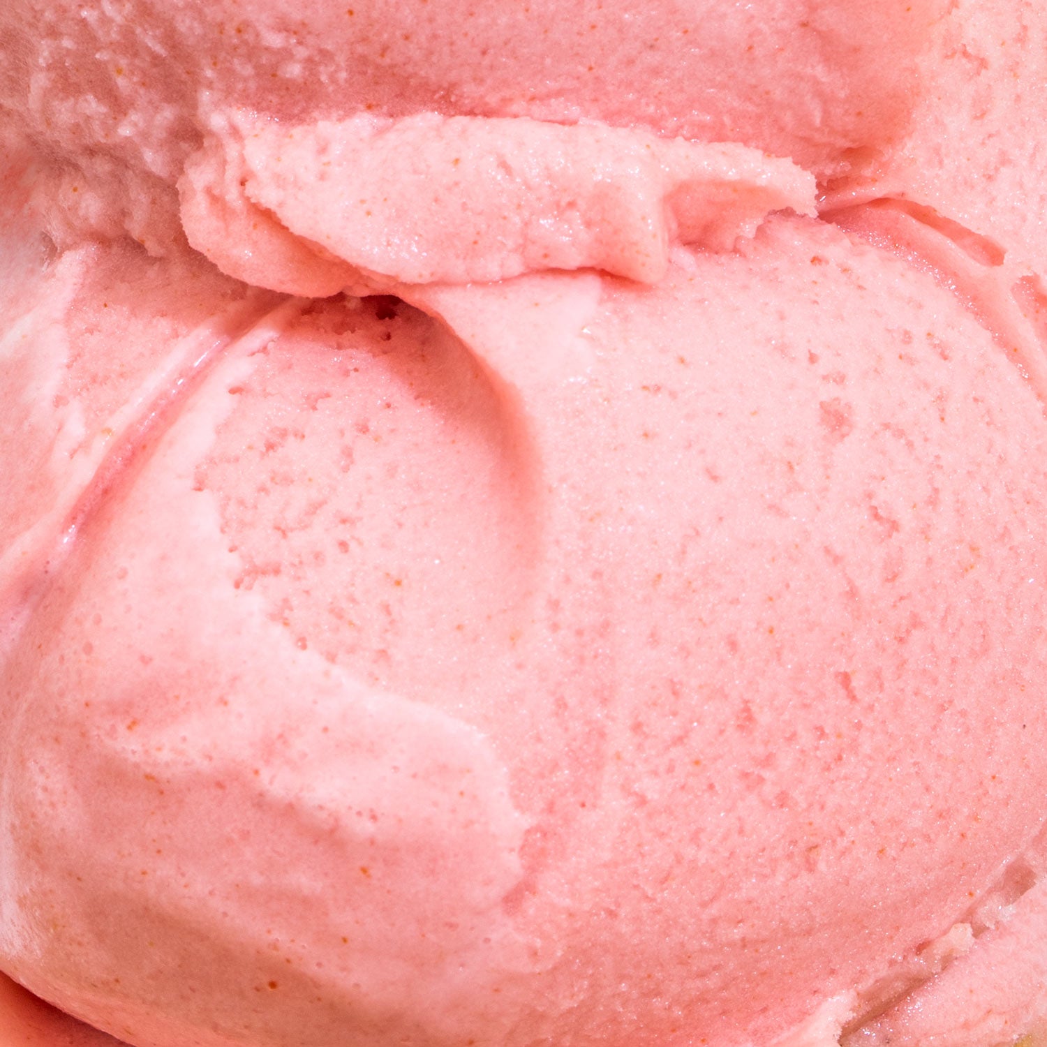 Alternative view of Frosé Sorbet