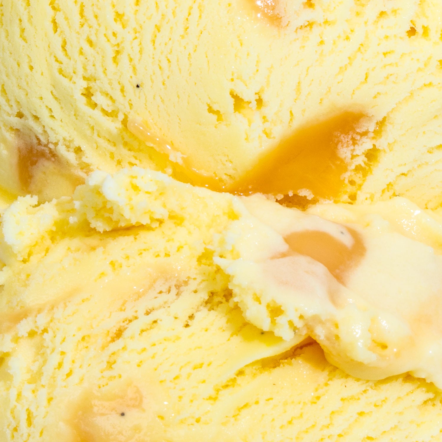 Golden Nectar - Image 2