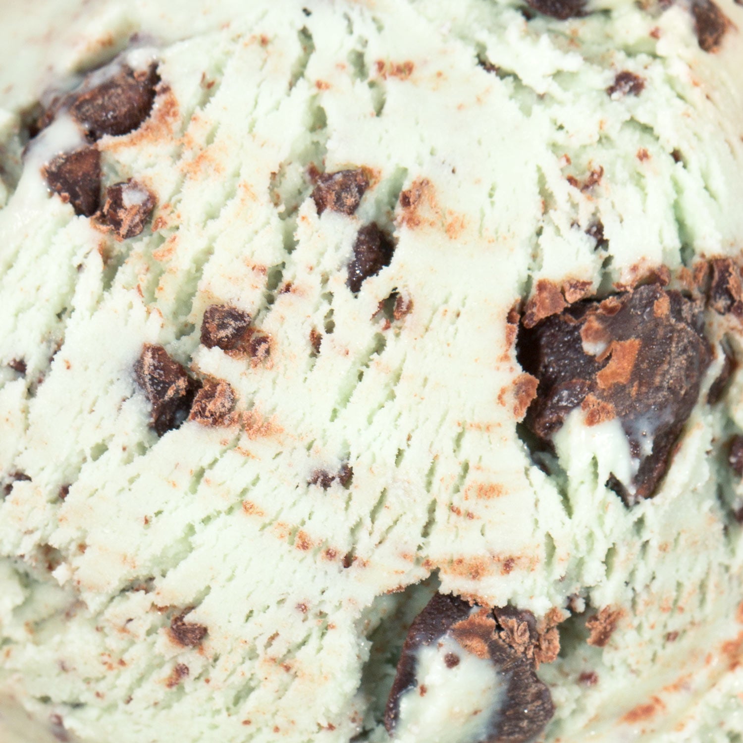 Alternative view of Green Mint Chip