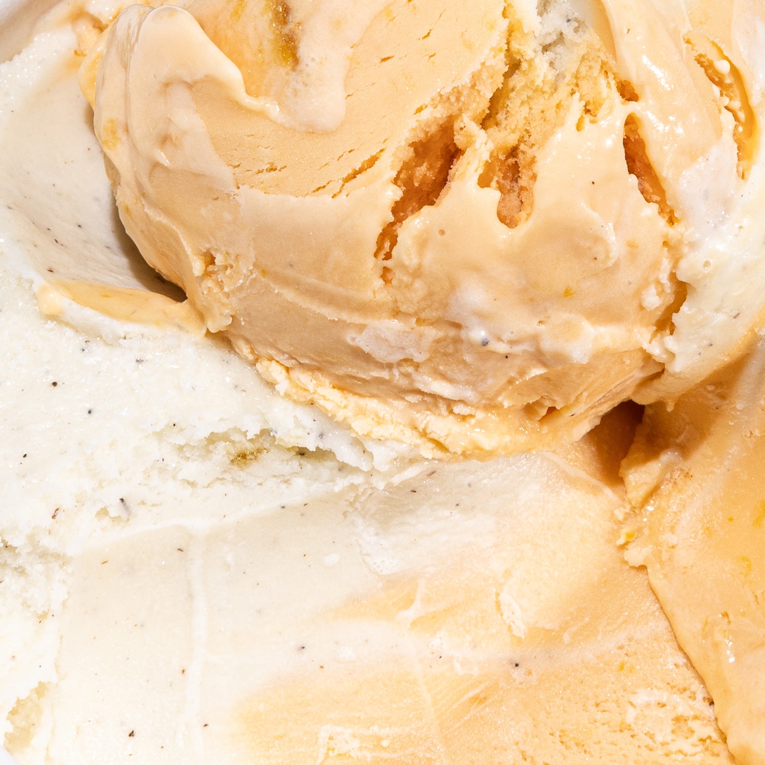 Alternative view of Burnt Orange Dreamsicle